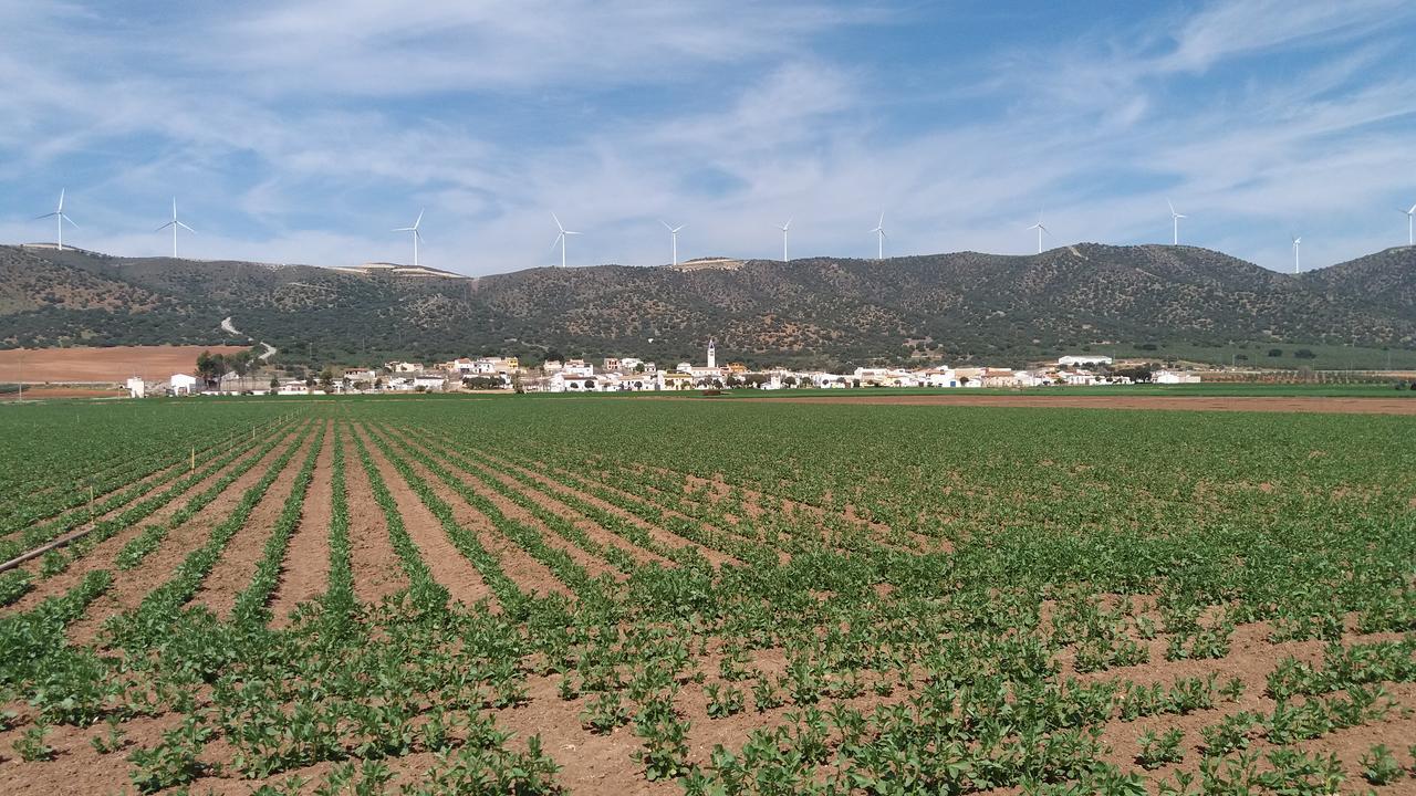 Posada Ana Ponce Sierra de Yeguas Kültér fotó